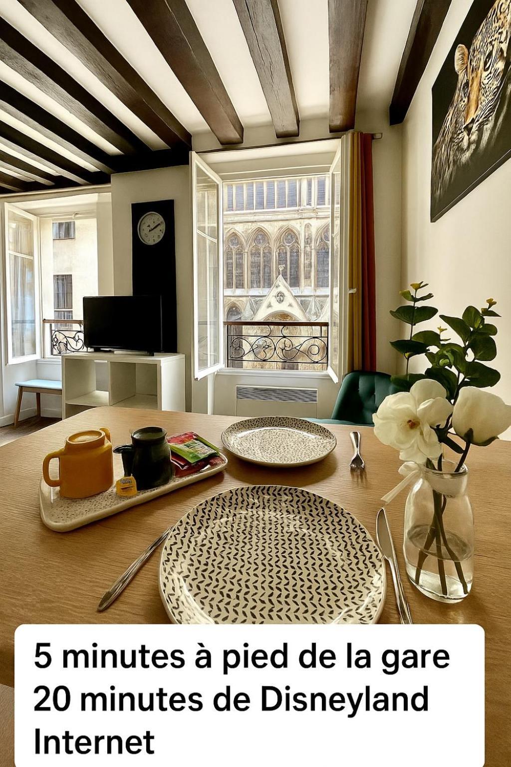 Appartement Vue Cathedrale- Centre Ville Meaux-Gare-Disney エクステリア 写真